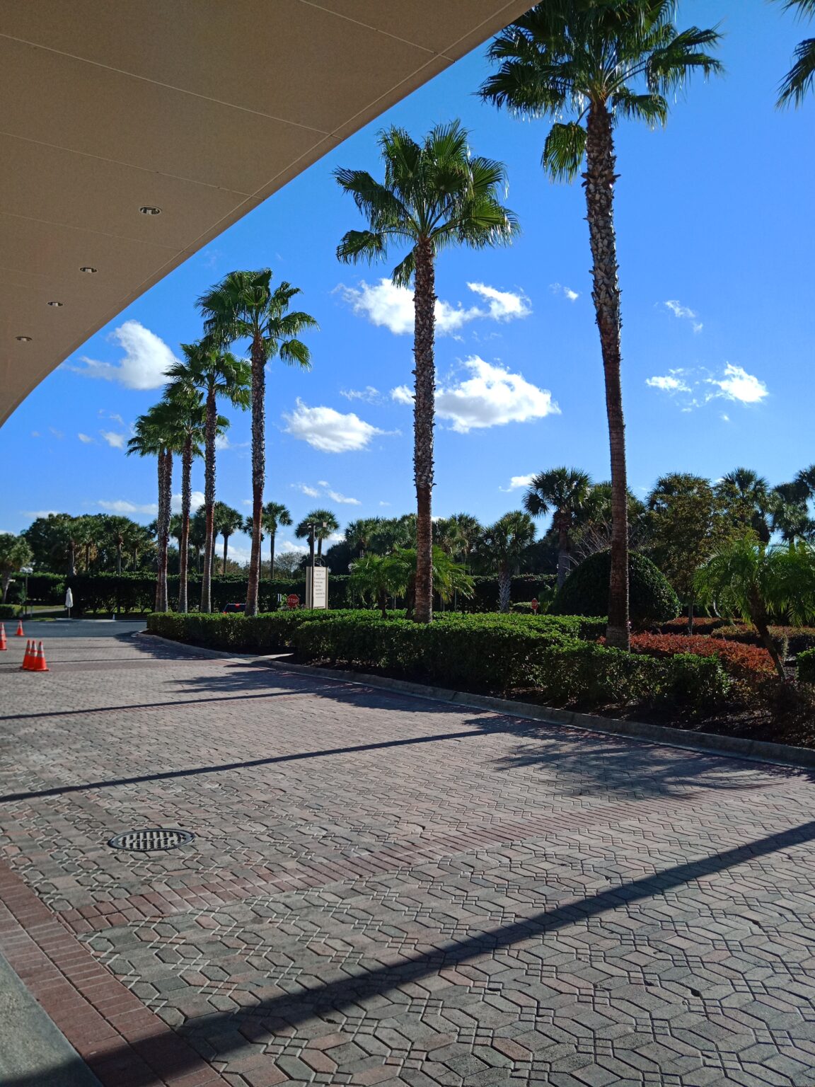 Anime conventions In 2023…Try Something New! The Senpai Cosplay Blog